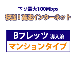 Bフレッツマンションタイプ導入済