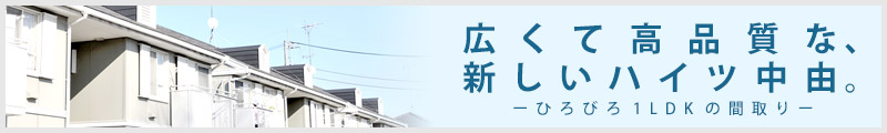 広くて高品質な、新しいハイツ中由