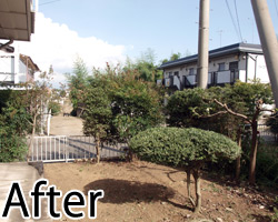 枝の剪定後