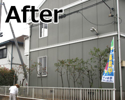 ハイツ中由D棟 剪定前